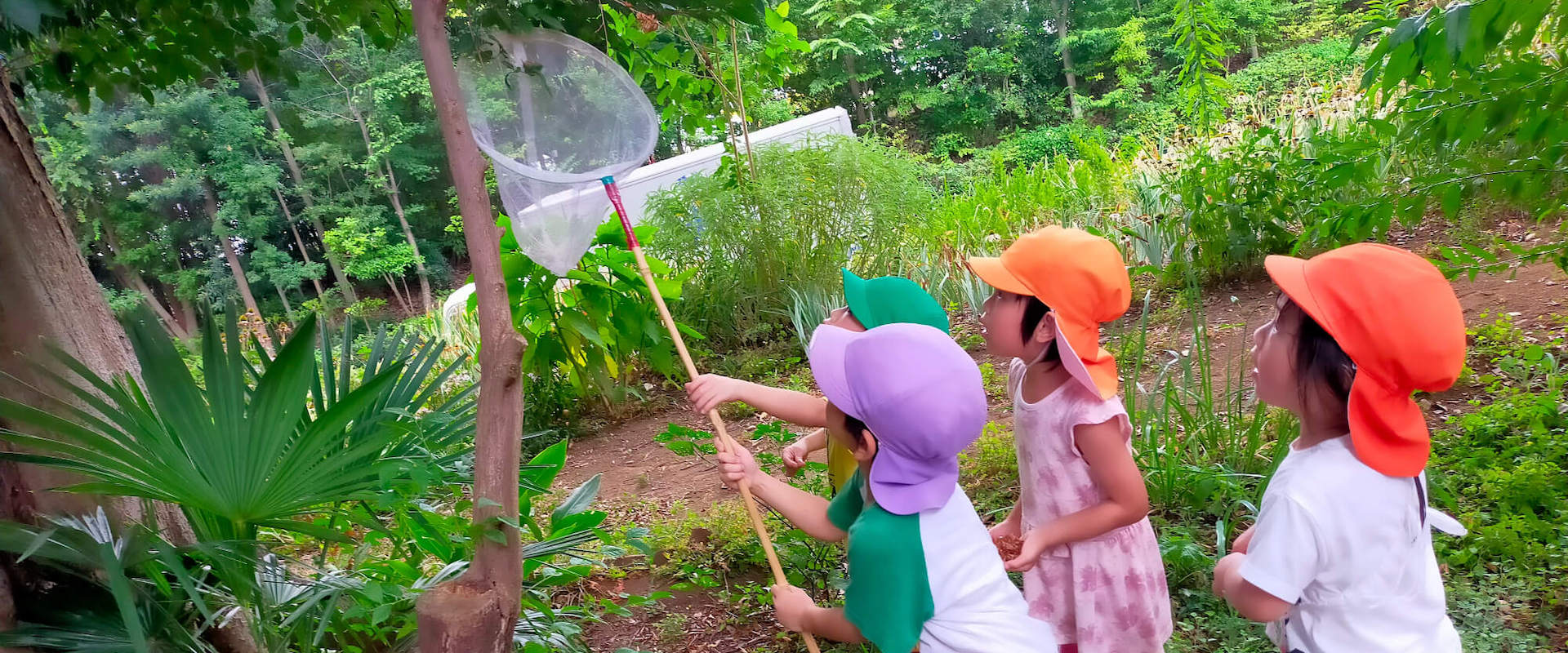 子どもたちが虫取りをする様子