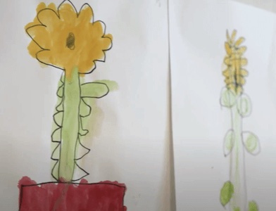 壁に飾られた子どもたちの作品