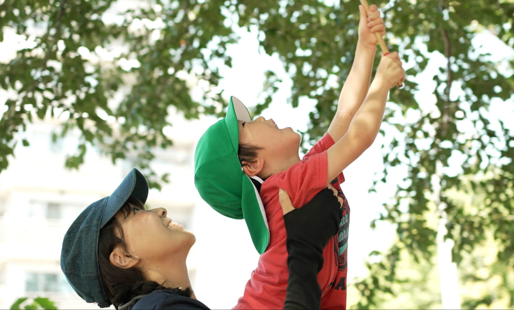 下から木々と建物の間を見上げた様子