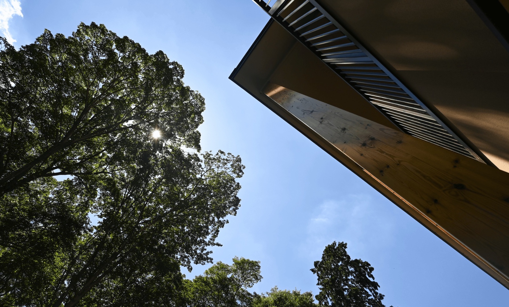 これから食事を取ろうとする園児たちの様子